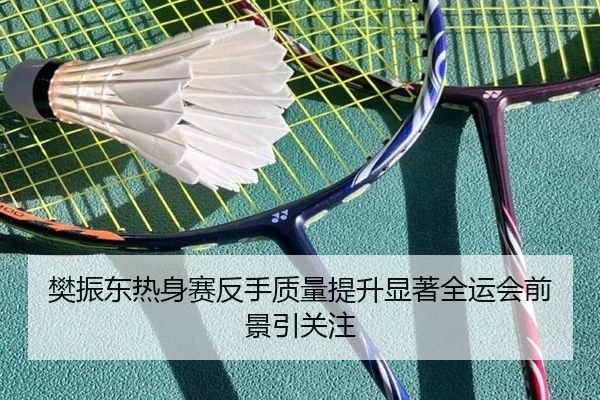 樊振东热身赛反手质量提升显著全运会前景引关注